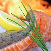 Salmon