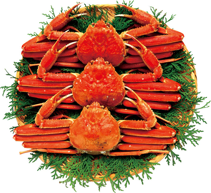 Snow crab